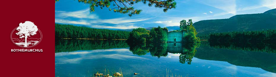 Loch an Eilein Castle